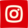 Social icon 4